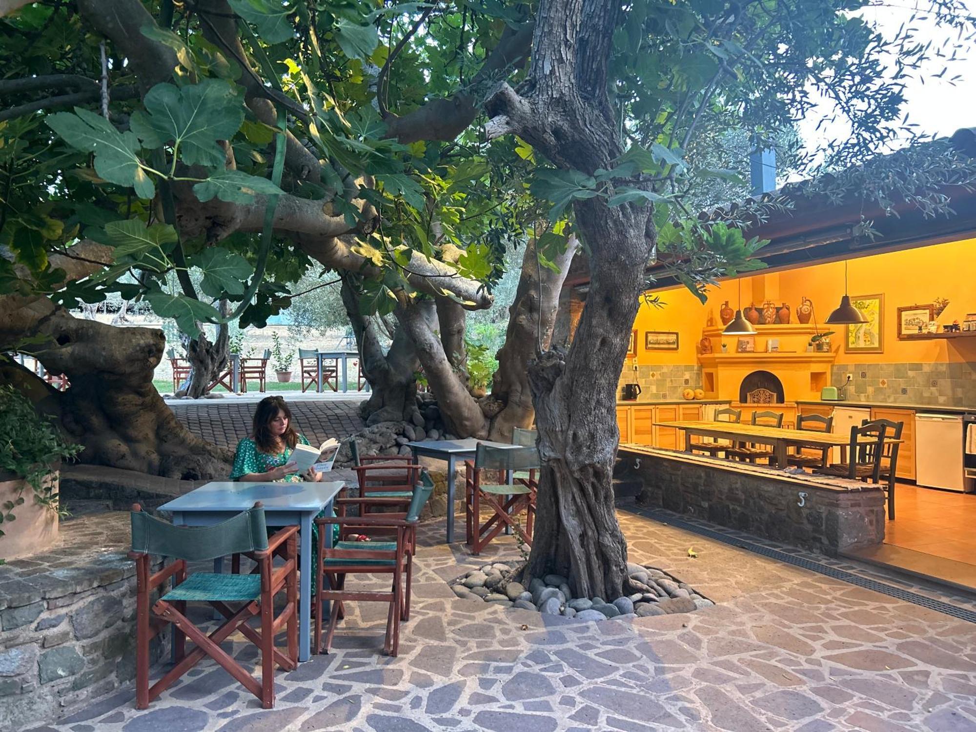 Villa Daphnis & Chloe Pyrgi Thermis Екстер'єр фото