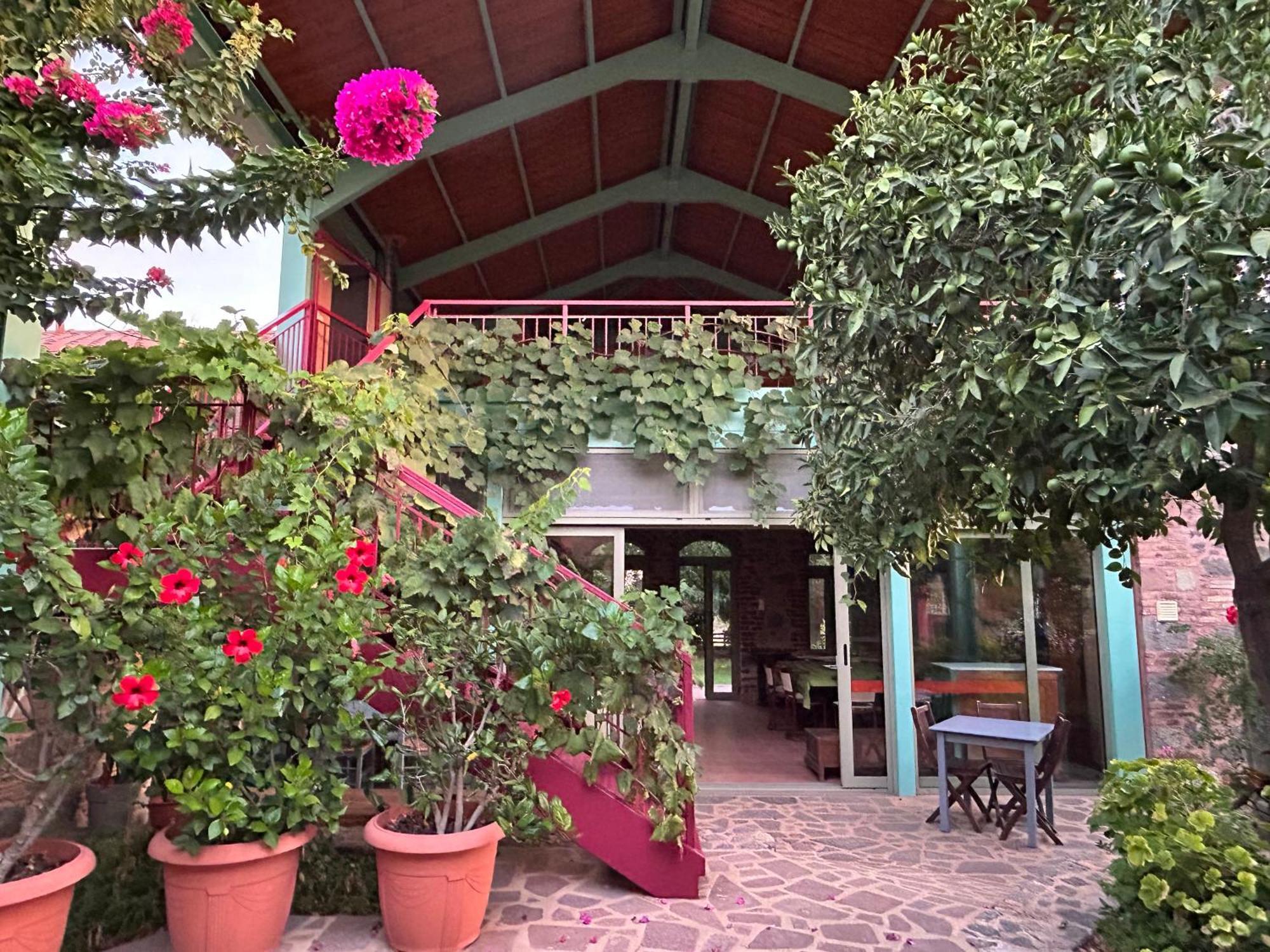 Villa Daphnis & Chloe Pyrgi Thermis Екстер'єр фото