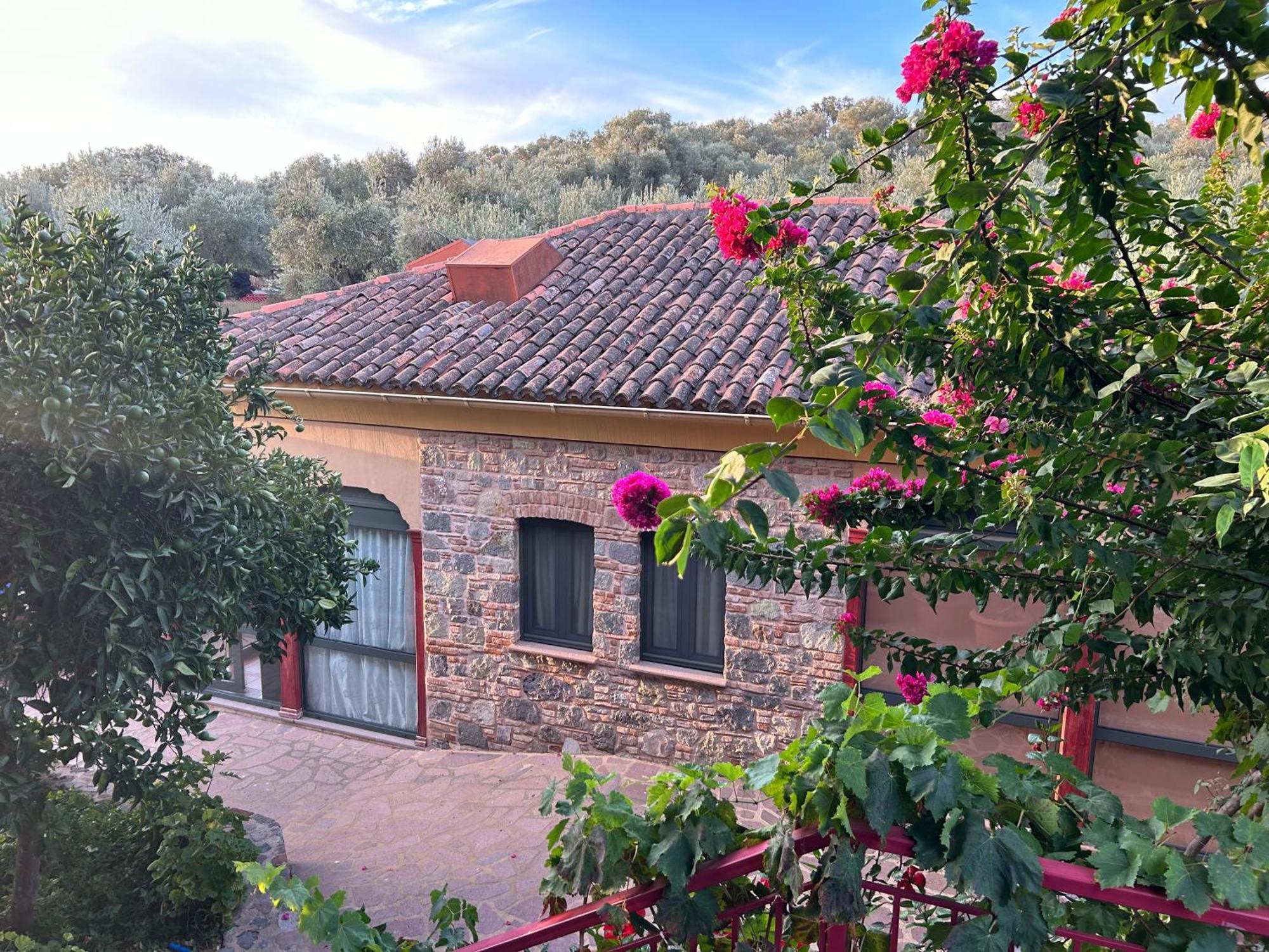 Villa Daphnis & Chloe Pyrgi Thermis Екстер'єр фото